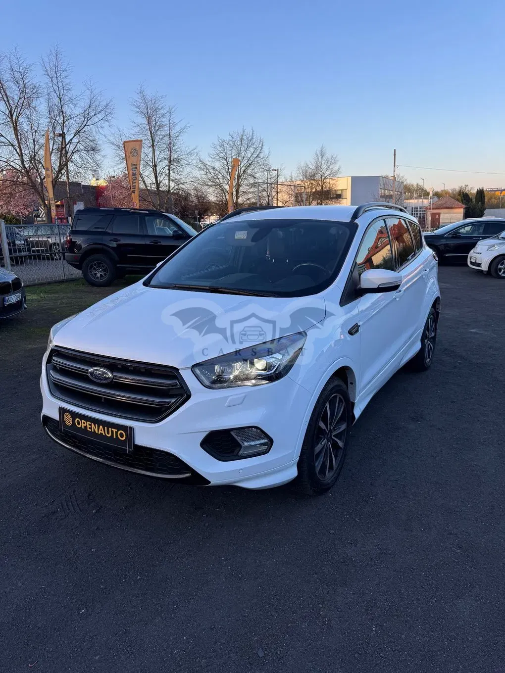 Ford Kuga II 2.0 TDCi AWD ST-Line Black 2018