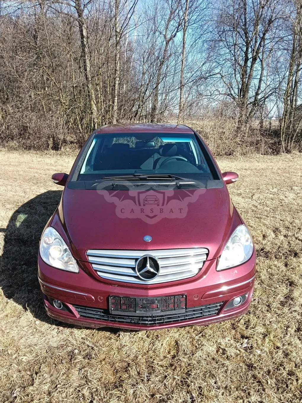 Mercedes-Benz B W245 180 CDI 2007