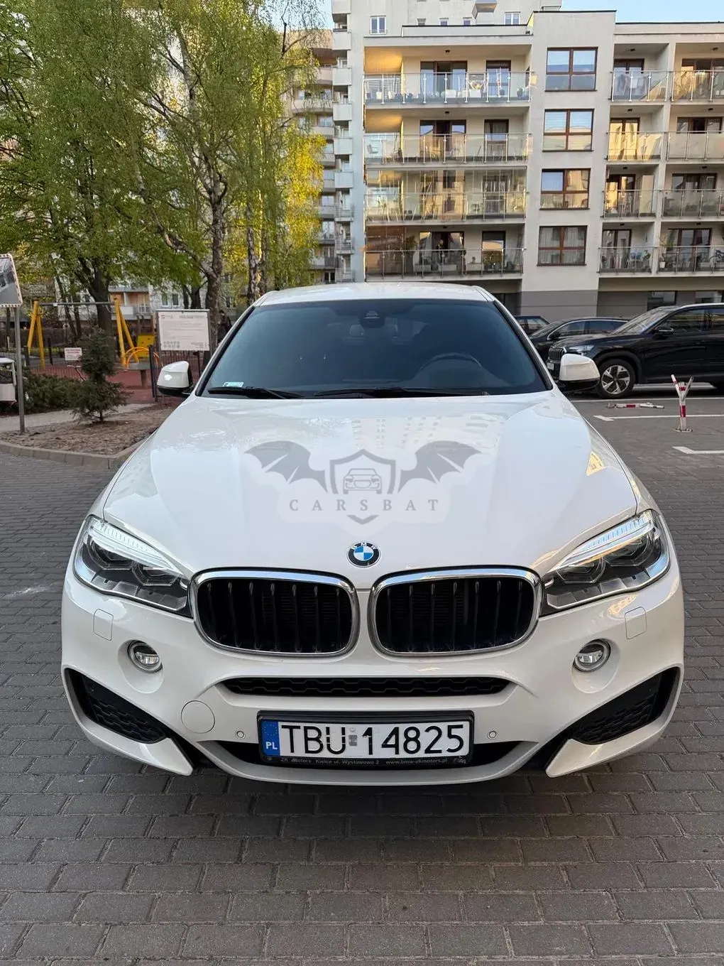 BMW X6 F16 xDrive30d M Sport 2018