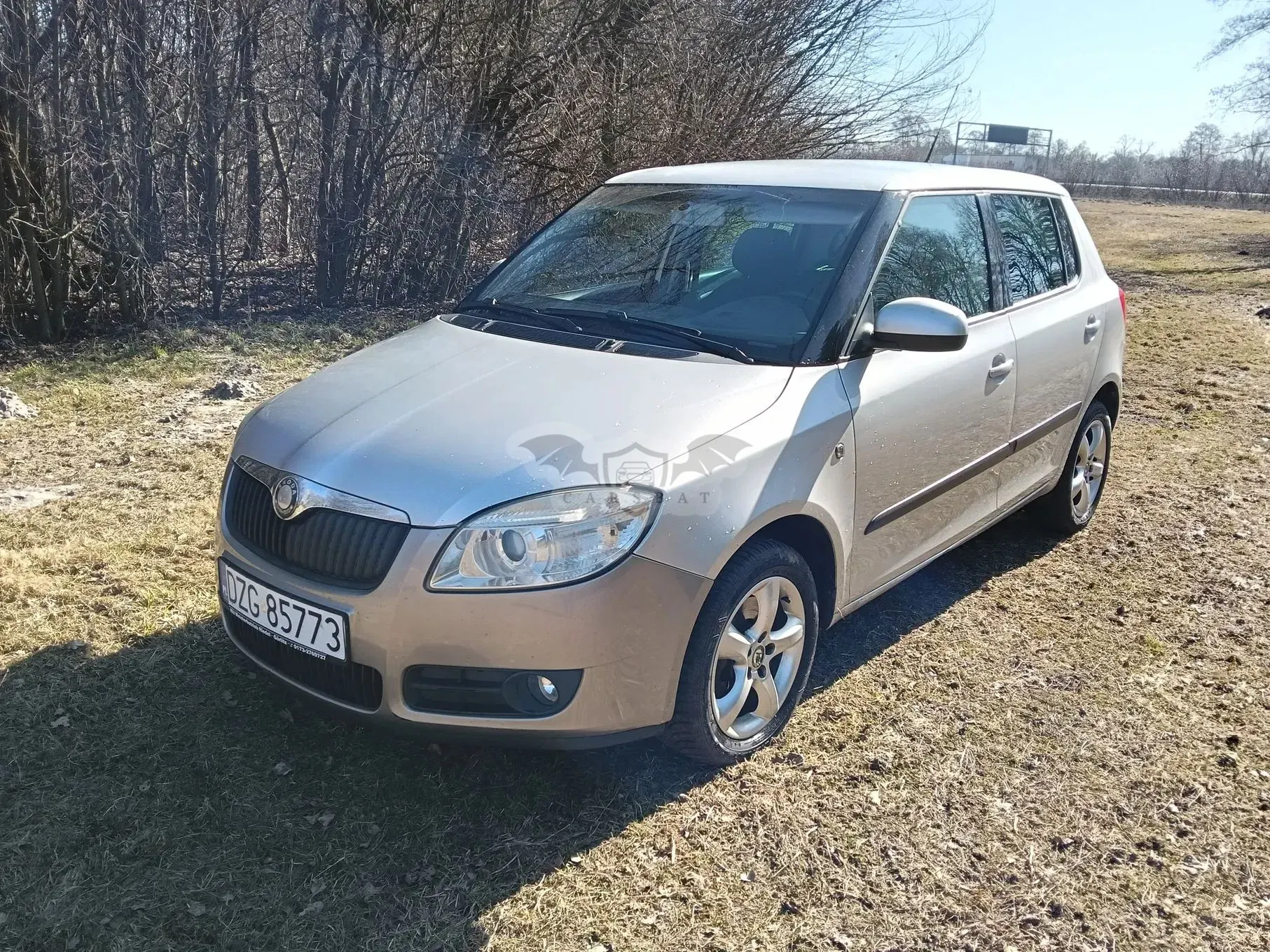 Skoda Fabia II 1.9 TDI PD Elegance 2007