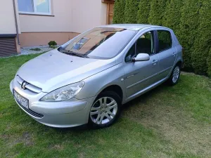 Peugeot 307 I 1.6 Premium 2005