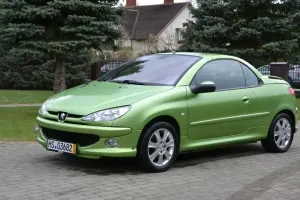 Peugeot 206 110 Platinum 2003
