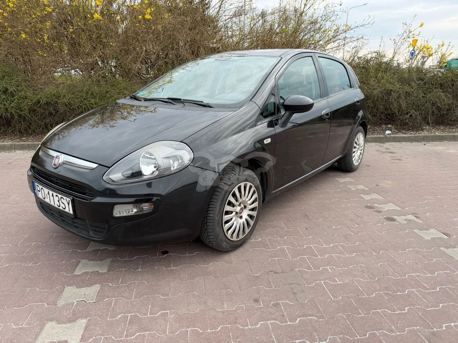 Fiat Punto 2011
