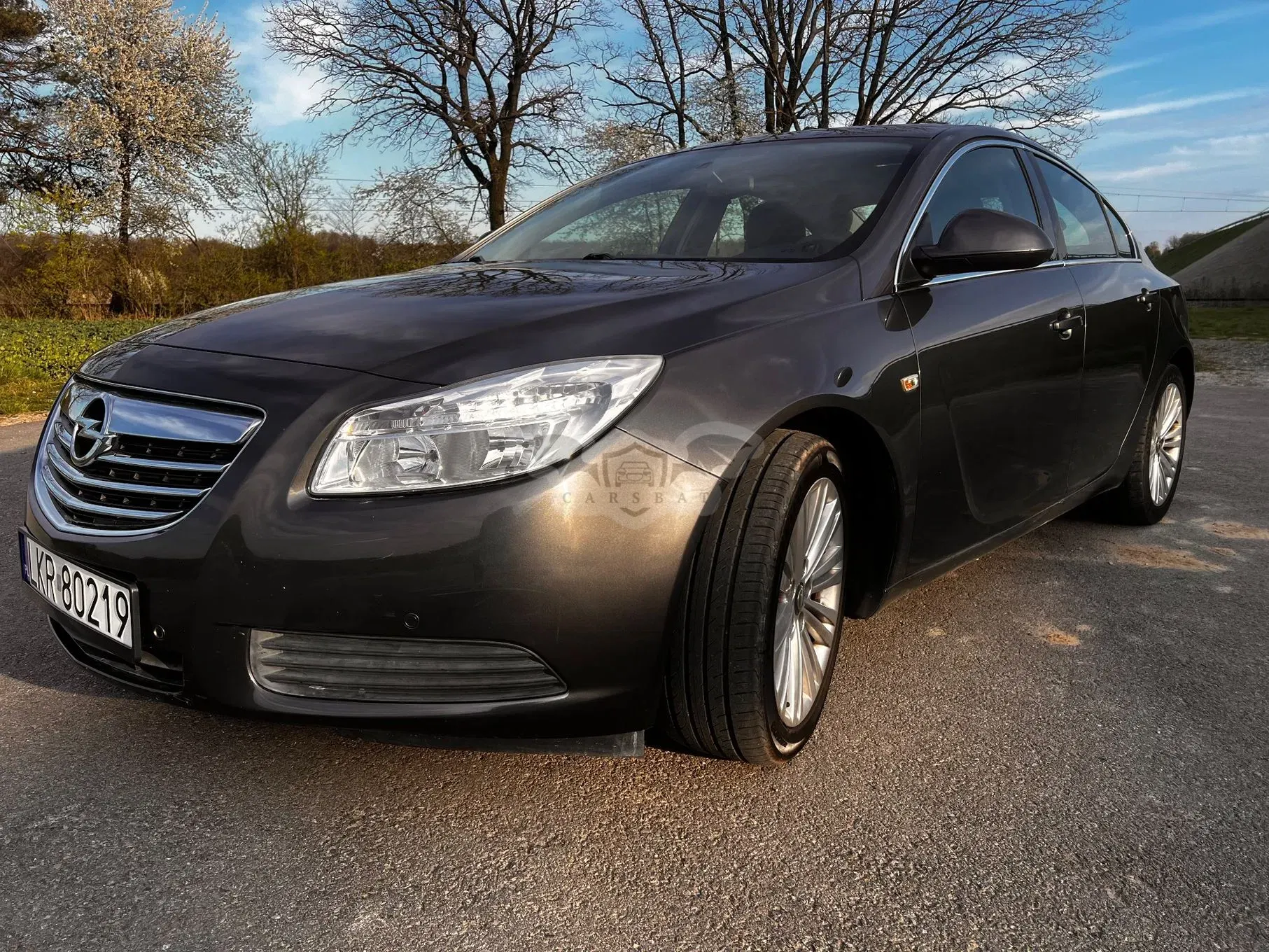 Opel Insignia A 2.0 CDTI ecoFLEX Start/Stop Innovation 2012