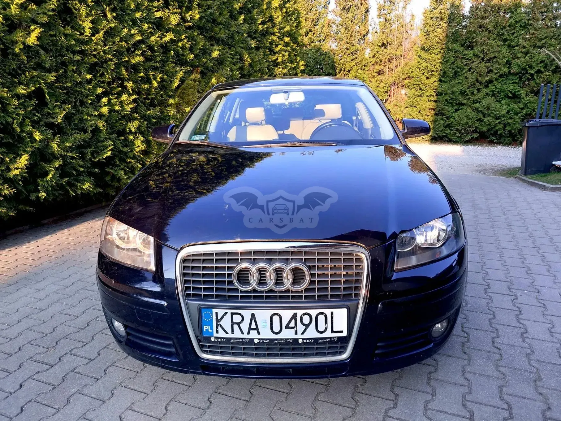 Audi A3 8P 1.9 TDI DPF Ambition 2008