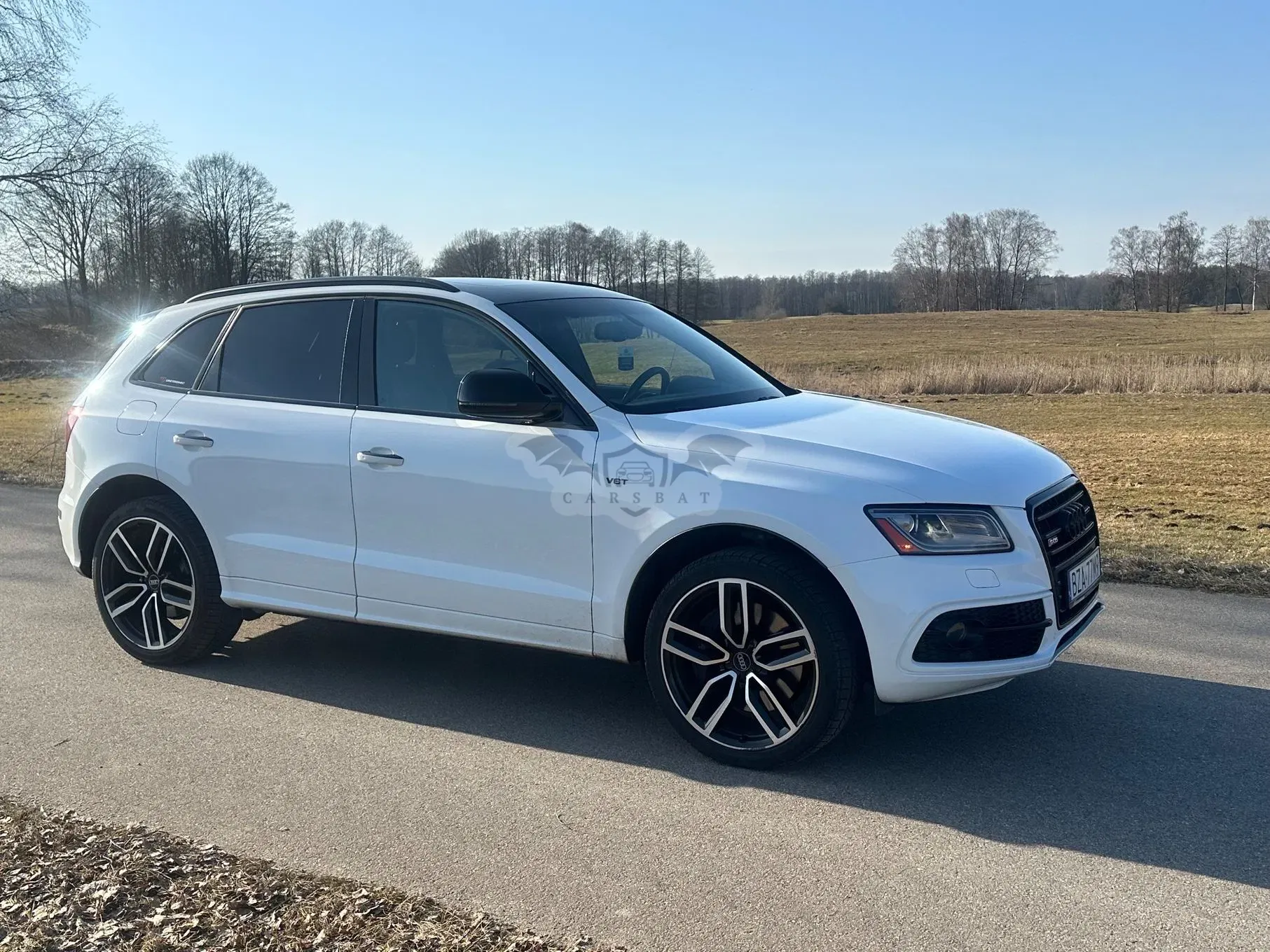 Audi SQ5 ver-3-0-tfsi-quattro-tiptronic 2017