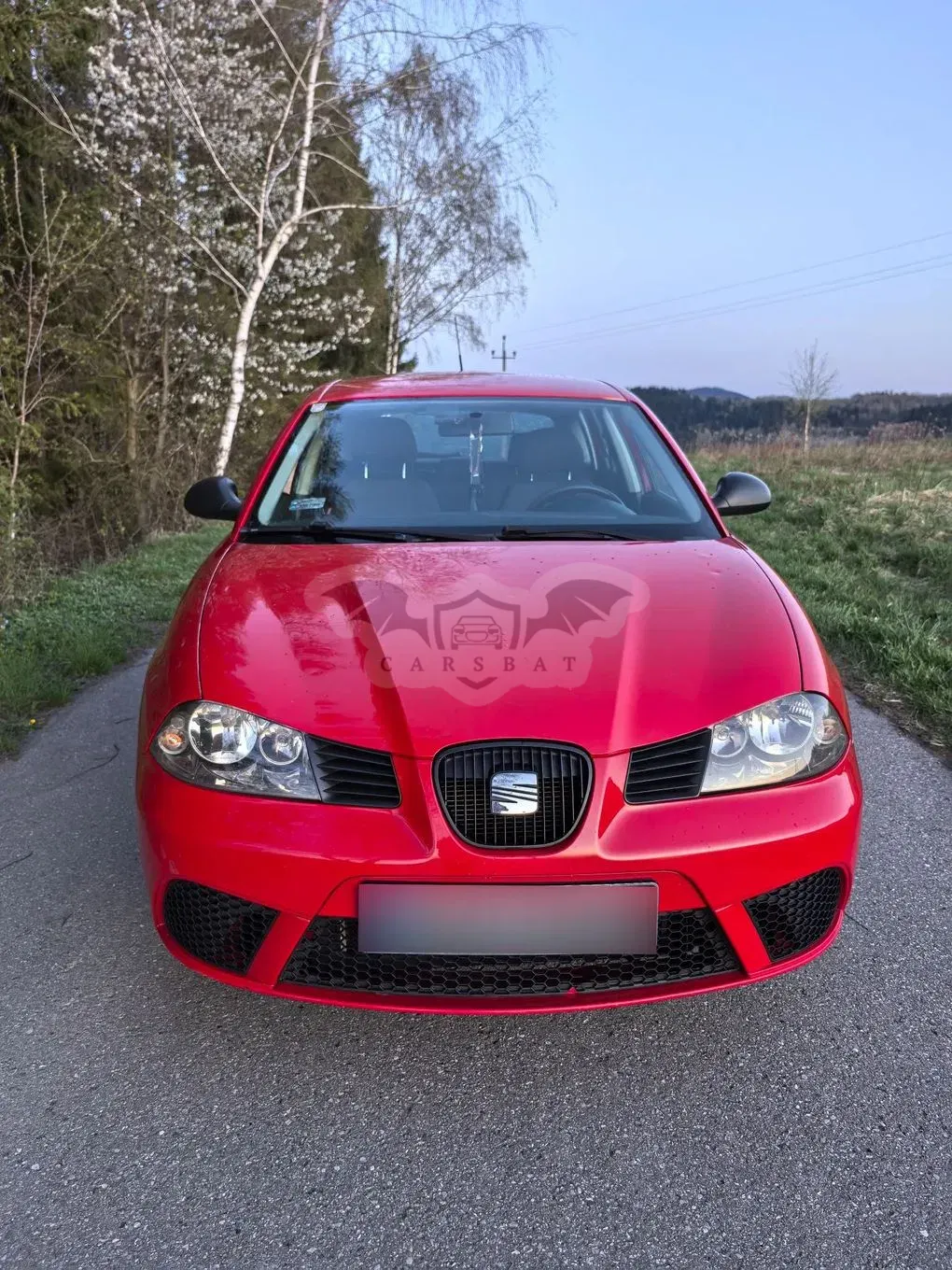 Seat Ibiza III 2008