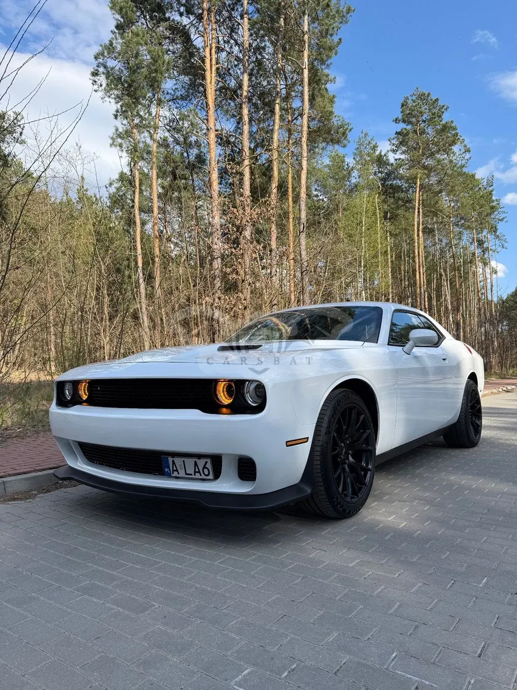 Dodge Challenger 2019