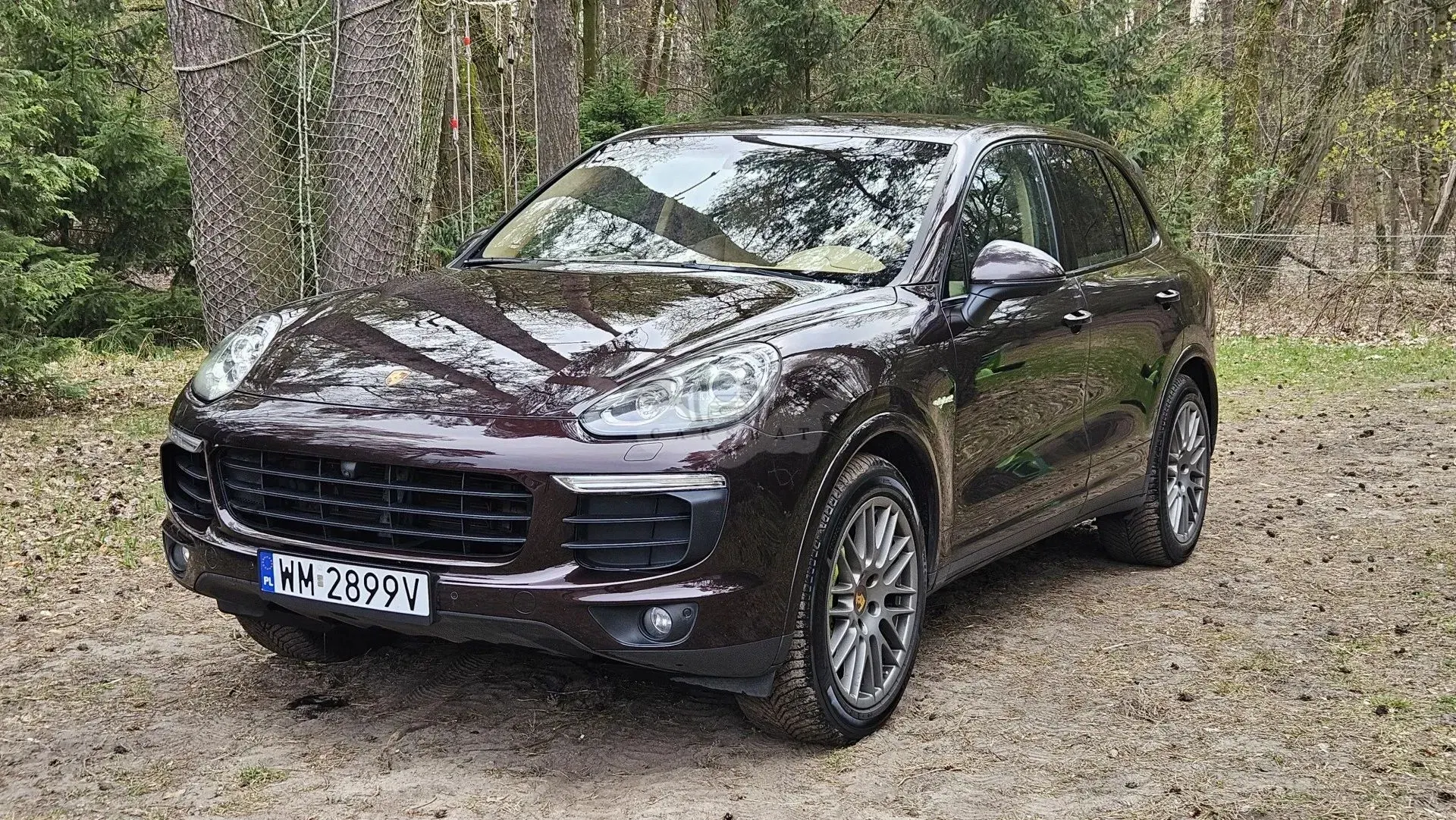 Porsche Cayenne II Tiptronic S Platinum Edition 2017