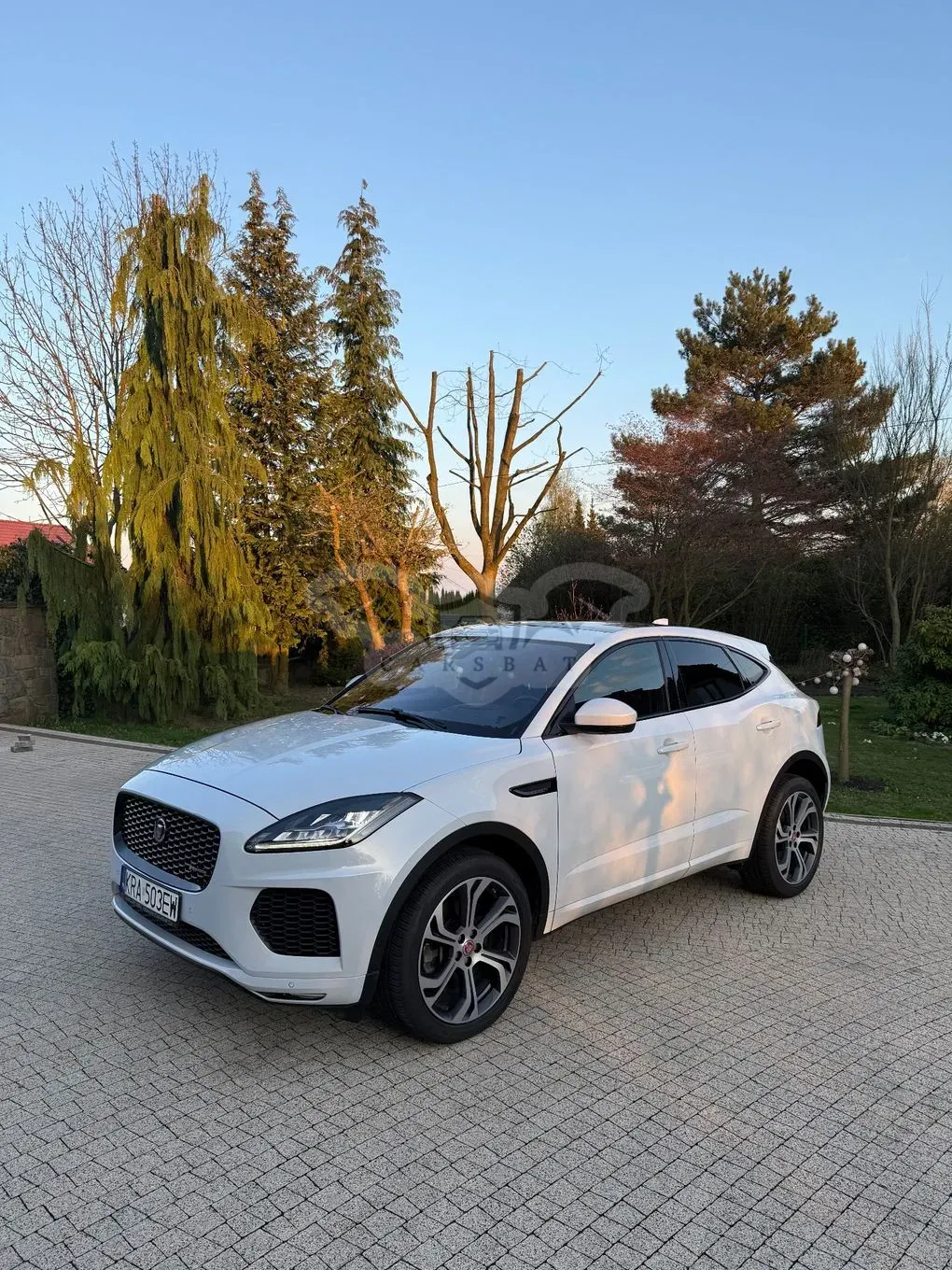 Jaguar E-Pace P250 AWD First Edition 2017