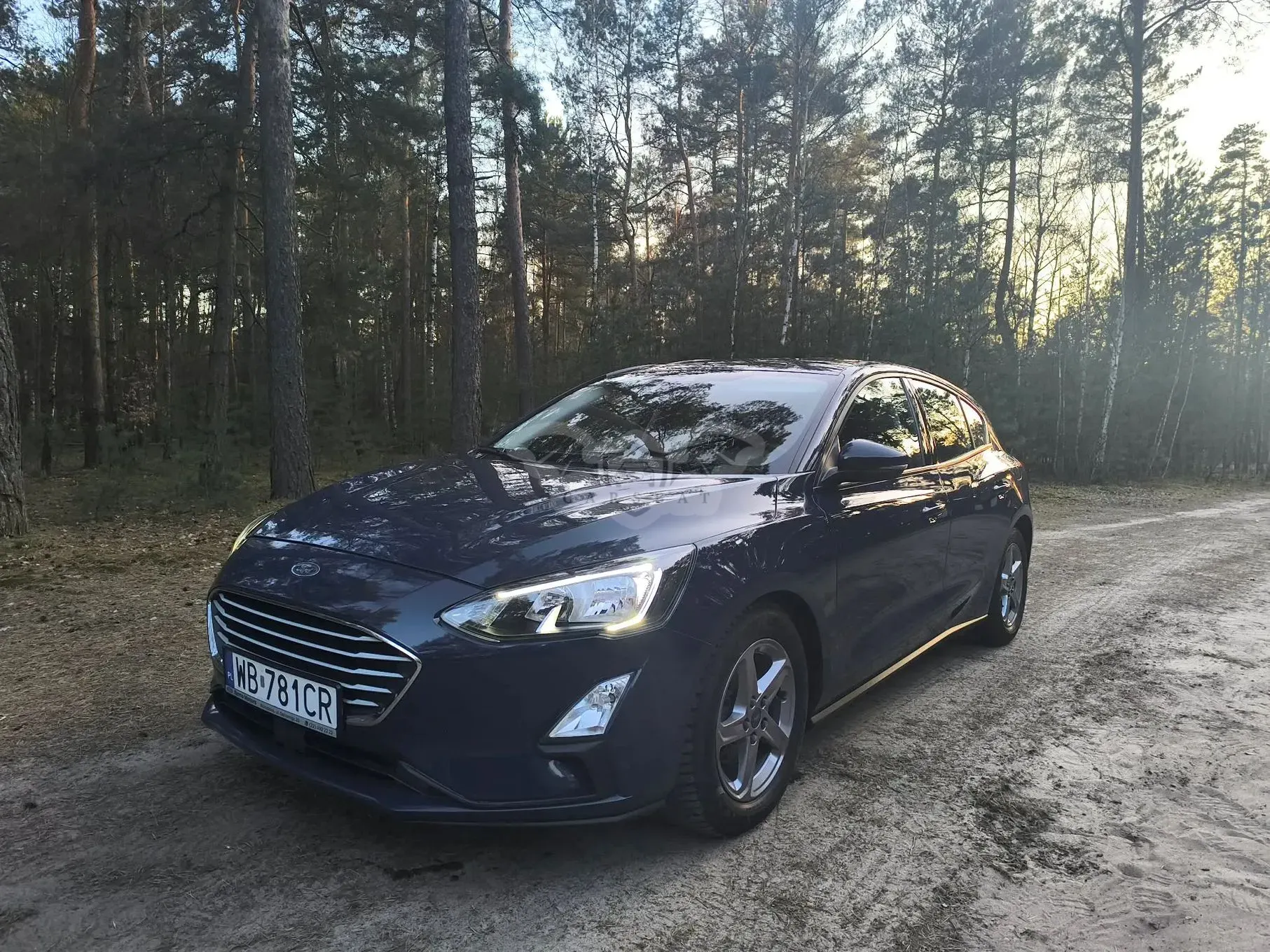 Ford Focus Mk4 1.5 EcoBlue Trend Edition Business 2019