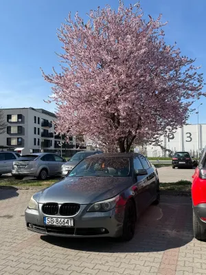 BMW 5 Series E60/E61 2004