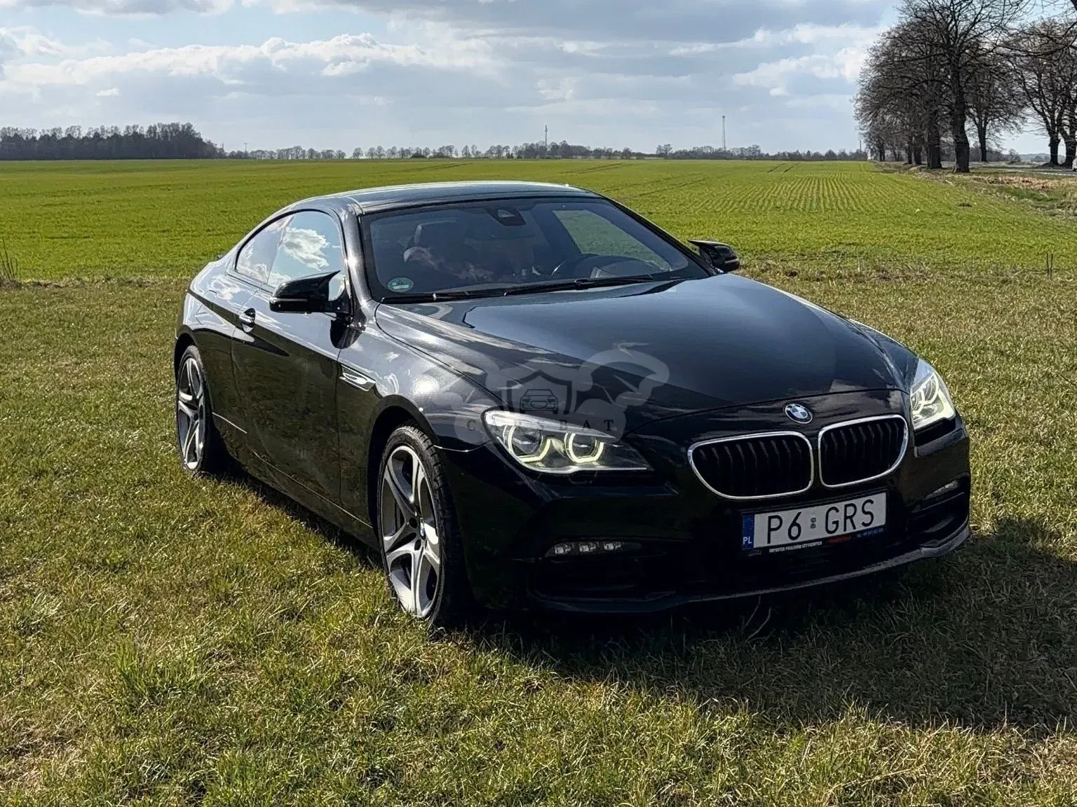 BMW 6 Series F12/F13/F14 640d xDrive 2015