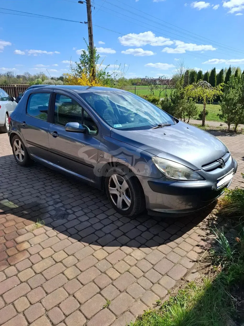 Peugeot 307 I 2004