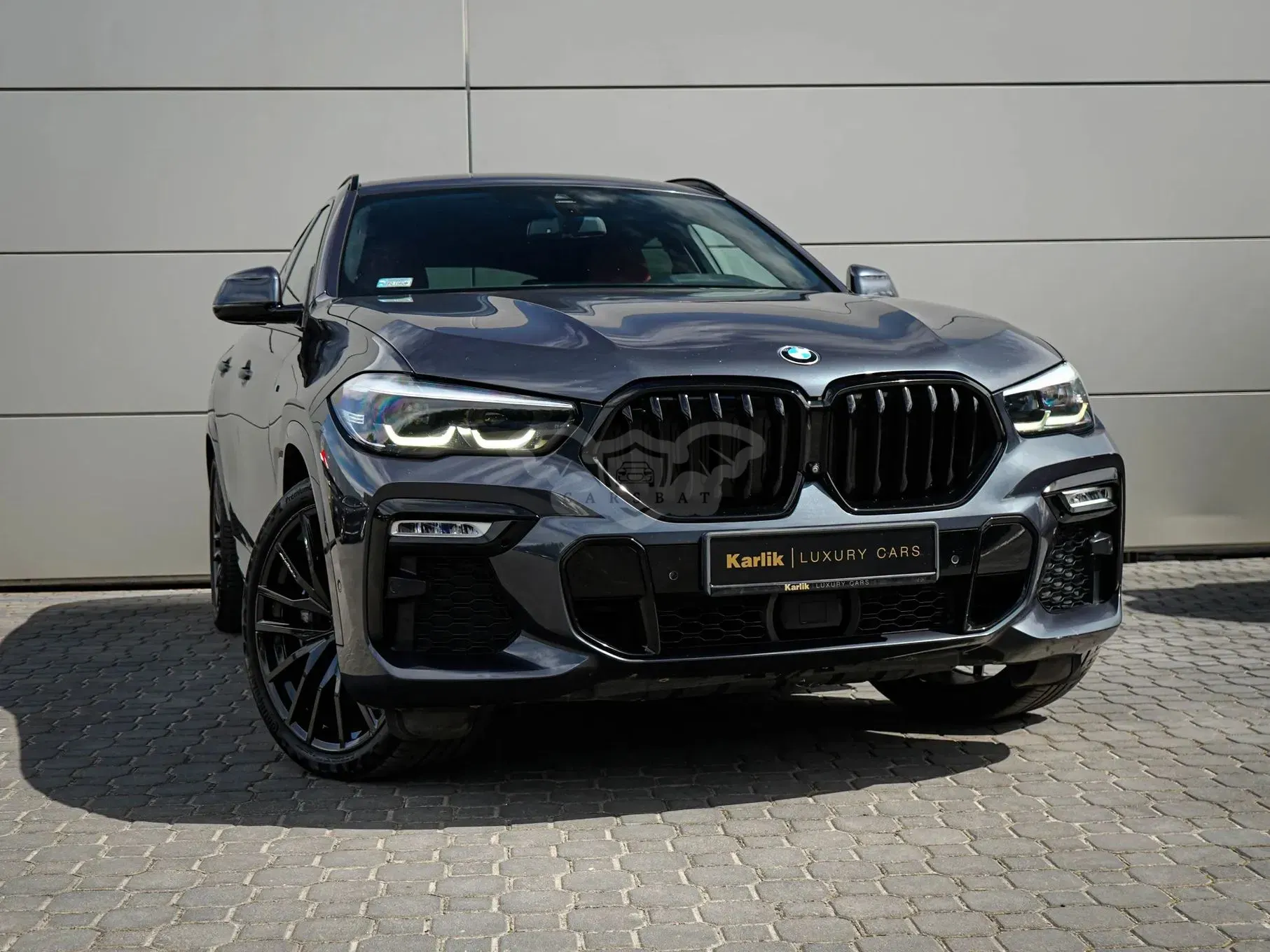 BMW X6 G06 xDrive30d 2019