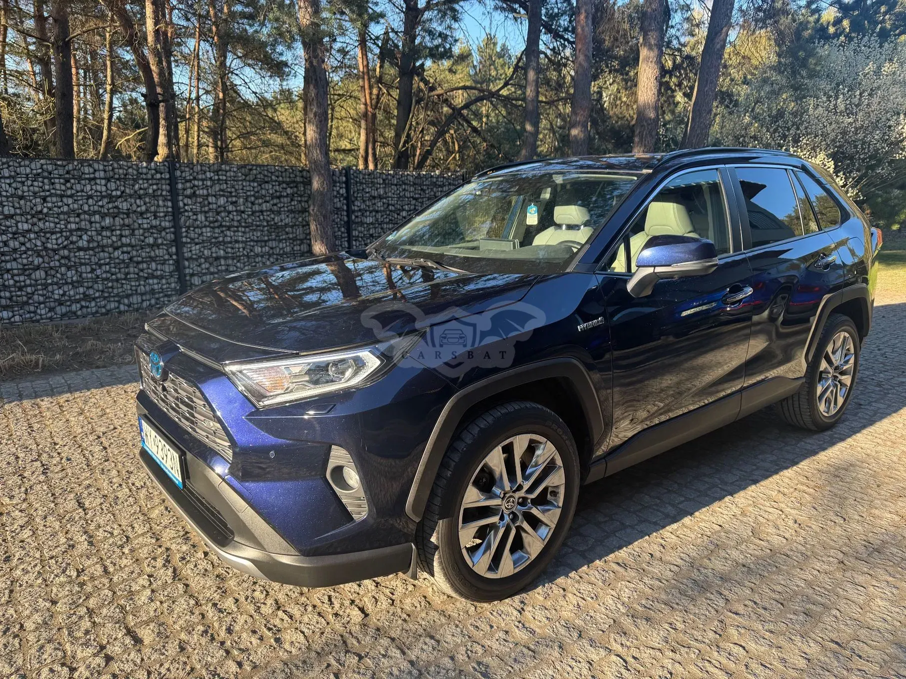 Toyota Rav4 V 2.5 Hybrid Executive 4x2 2021