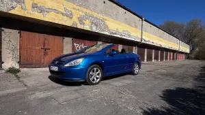 Peugeot 307 I 2004