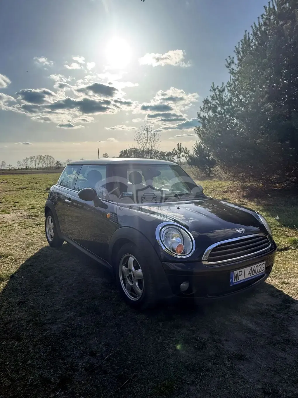 Mini One Standard 2009
