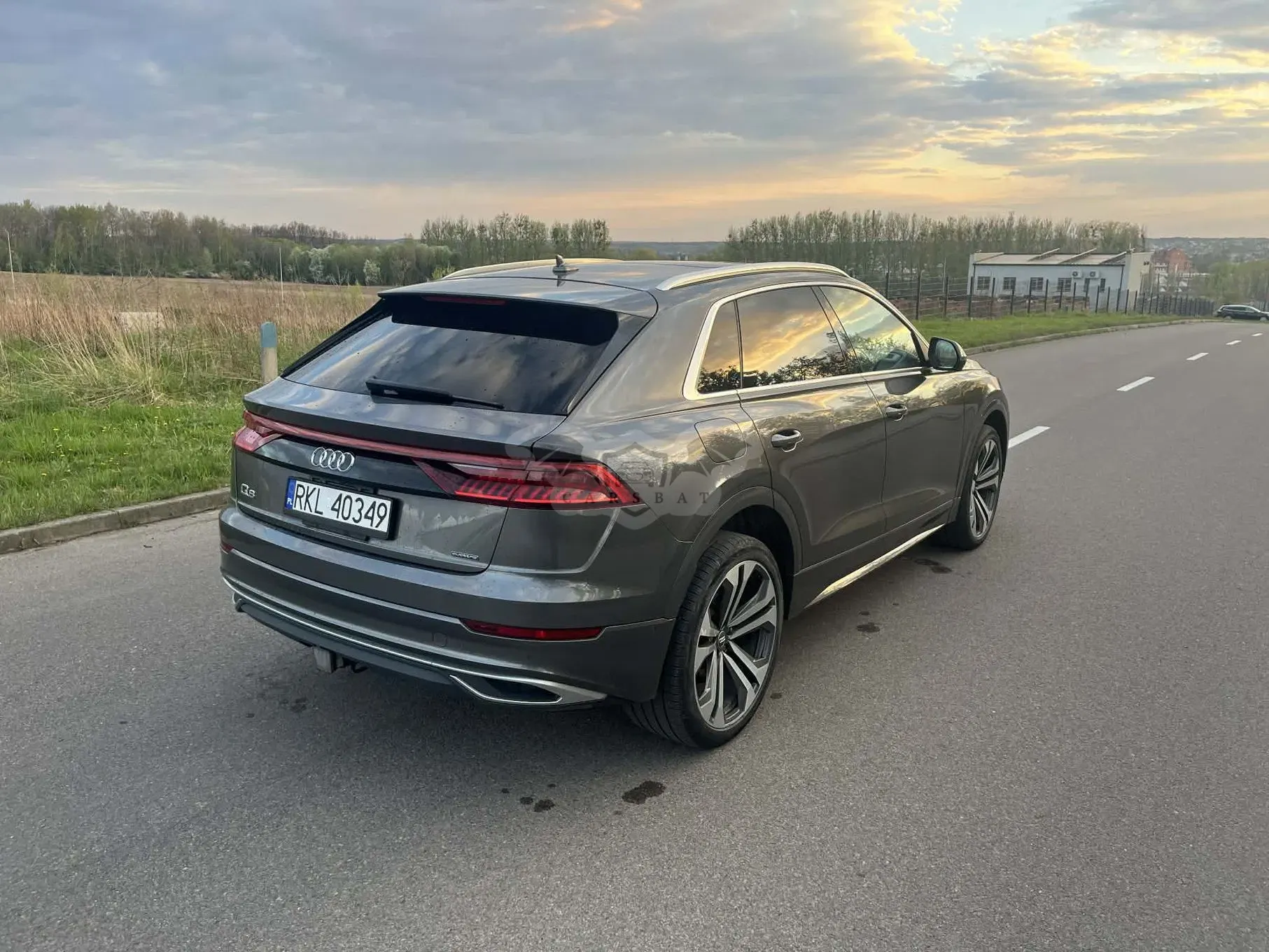 Audi Q8 2019