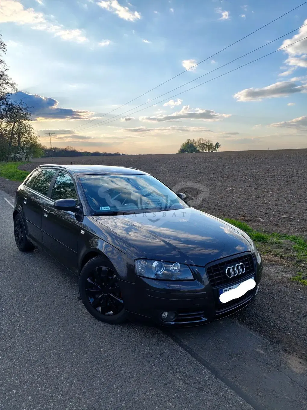 Audi A3 8P 2006