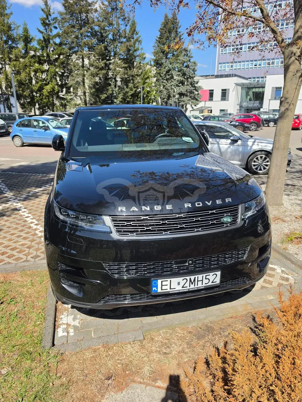 Land Rover Range Rover Sport III S 3.0 D250 mHEV Dynamic SE 2025