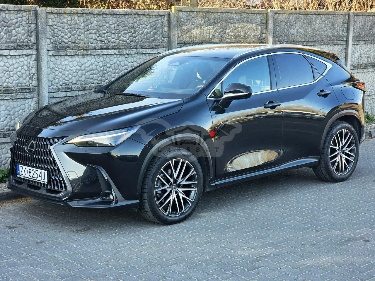Lexus NX II 2022