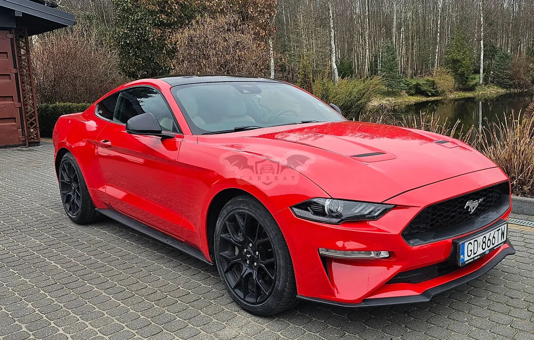 Ford Mustang 2.3 EcoBoost 2019