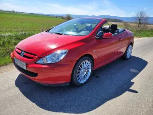 Peugeot 307 2.0 2005