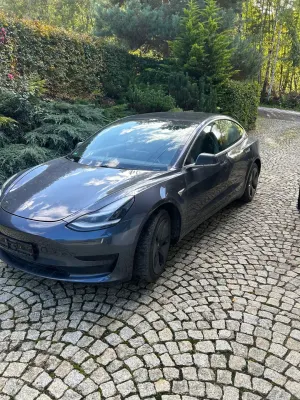 Tesla Model 3 2019