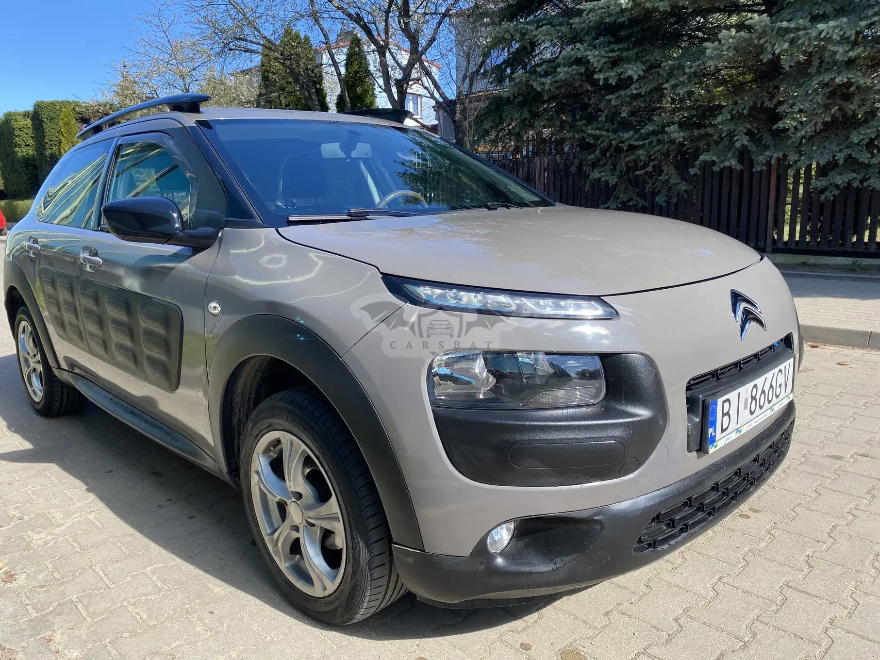 Citroën C4 Cactus 1.2 PureTech Shine Edition S&S ETG 2017