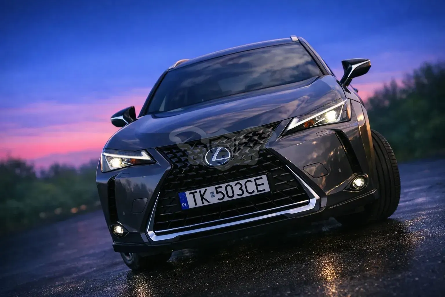 Lexus UX 250h Luxury Line 2019