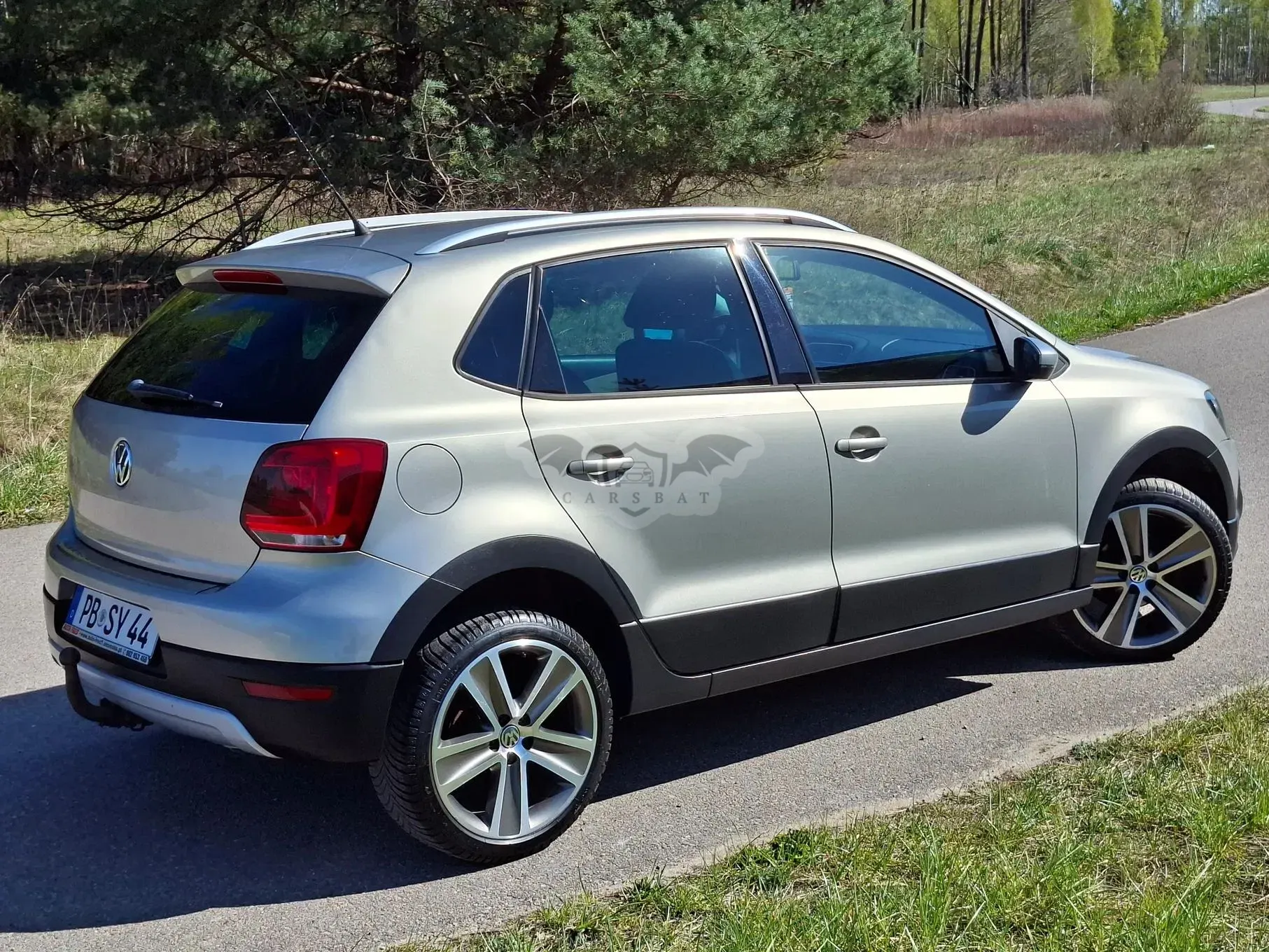 Volkswagen Polo 2010