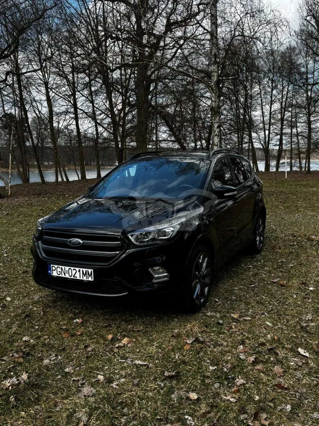 Ford Kuga II 2.0 TDCi 4x4 ST-Line 2019