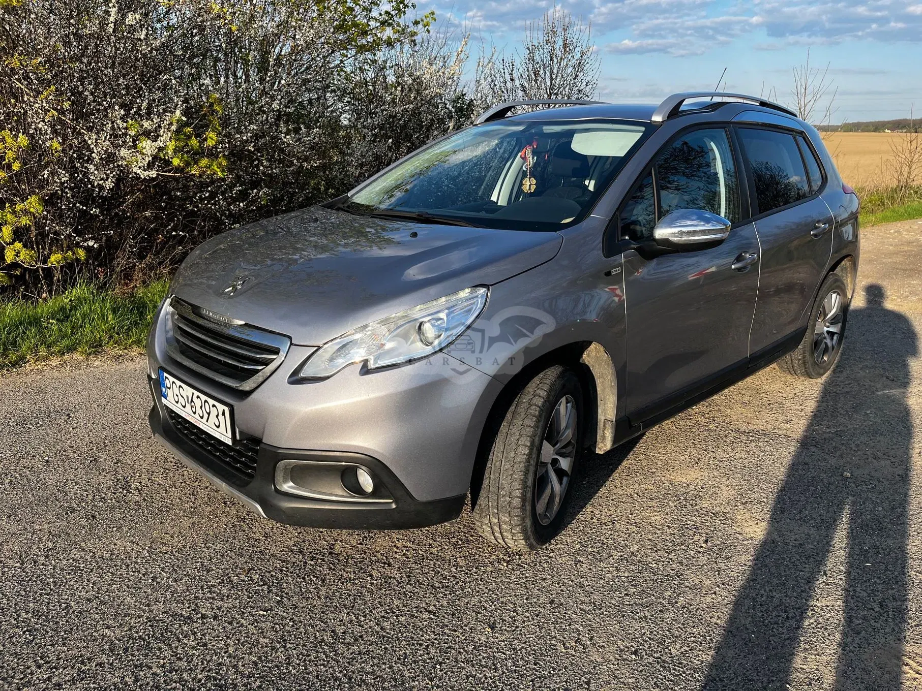 Peugeot 2008 I 1.6 BlueHDi Style 2016