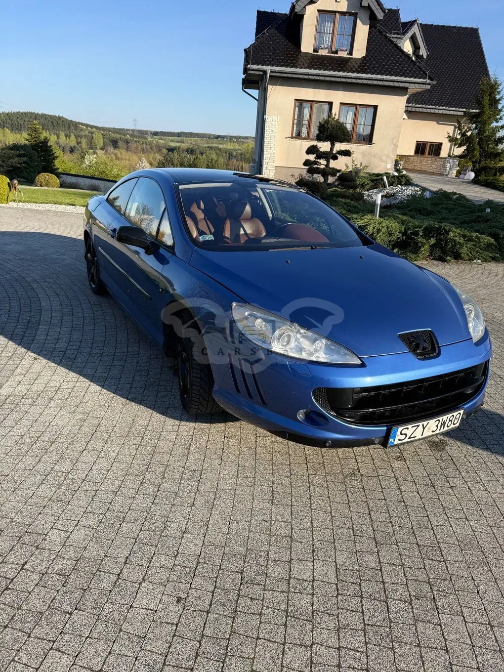 Peugeot 407 V6 210 Platinum 2006