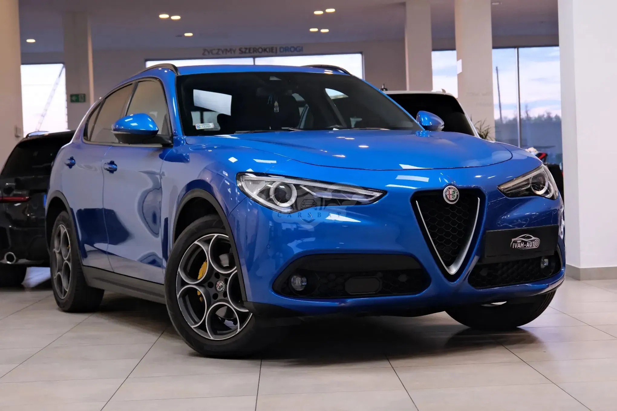 Alfa Romeo Stelvio 2.2 16V AT8-Q4 Executive 2017