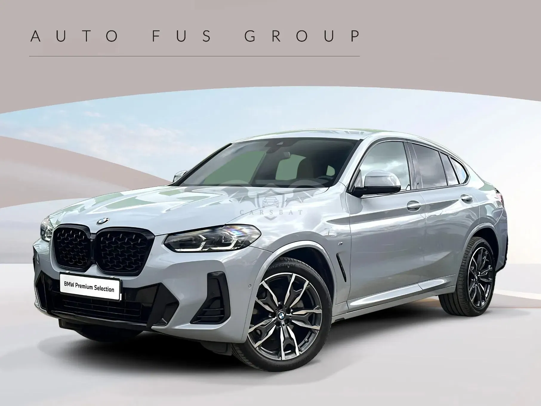 BMW X4 G02 xDrive20d mHEV M Sport sport 2025