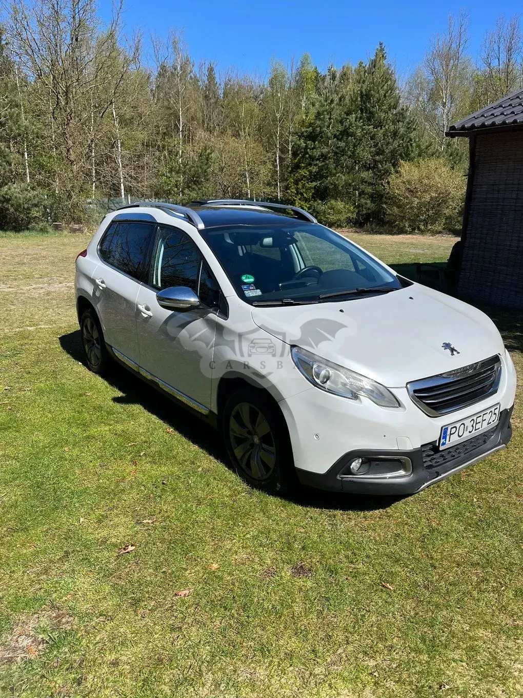 Peugeot 2008 I 2013