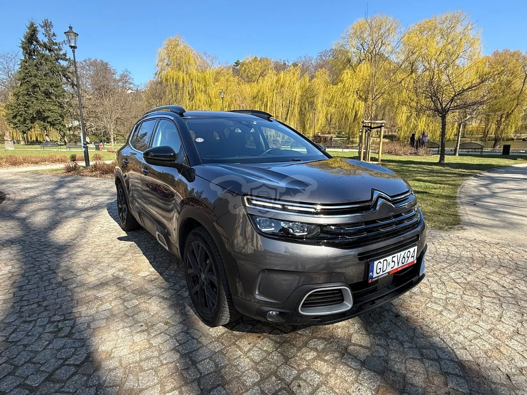 Citroën C5 Aircross 2020