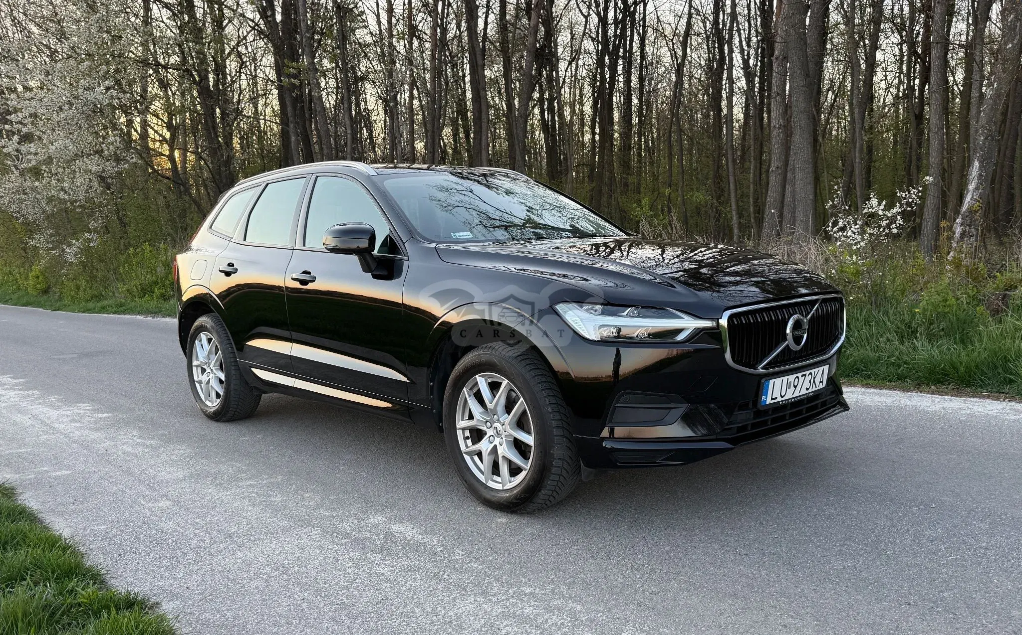 Volvo XC60 II B4 D AWD Momentum 2019