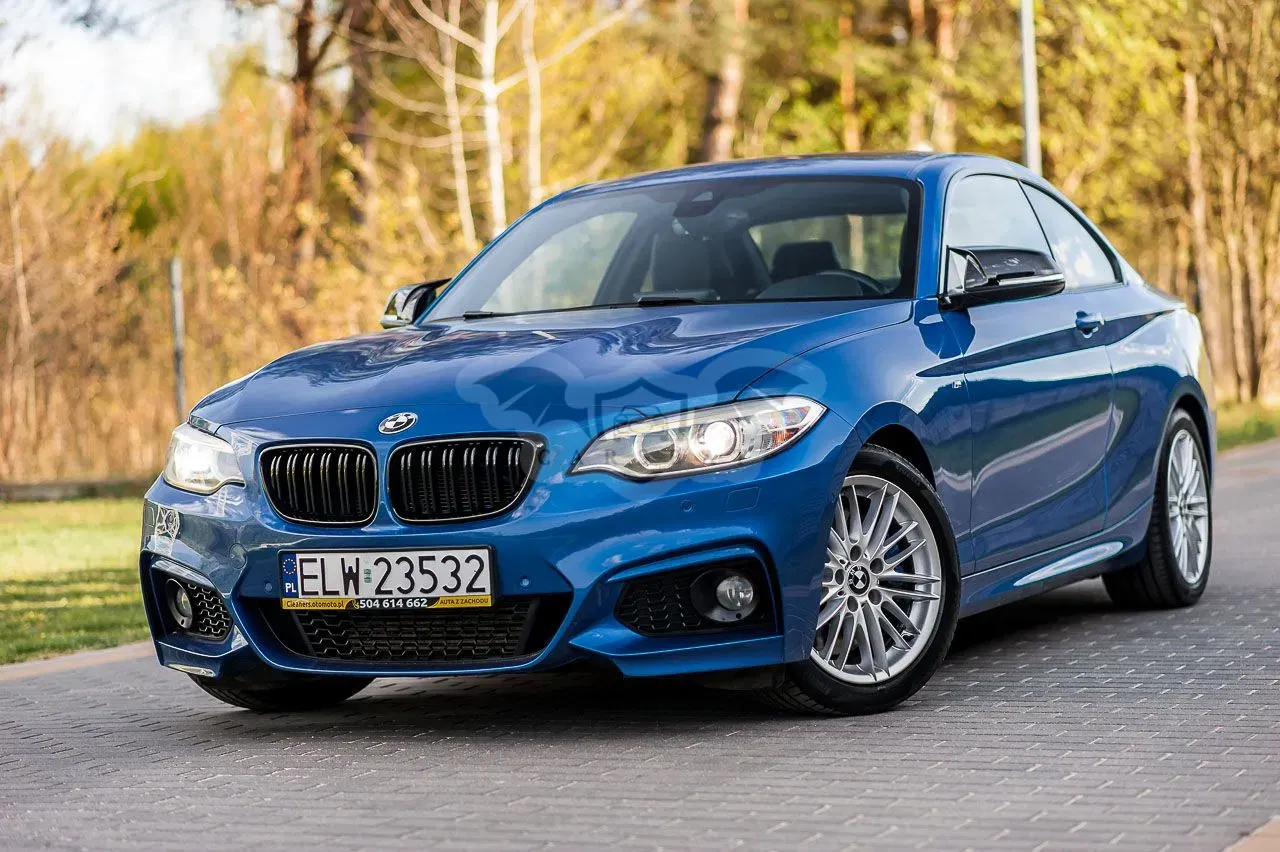 BMW 2 Series 2013