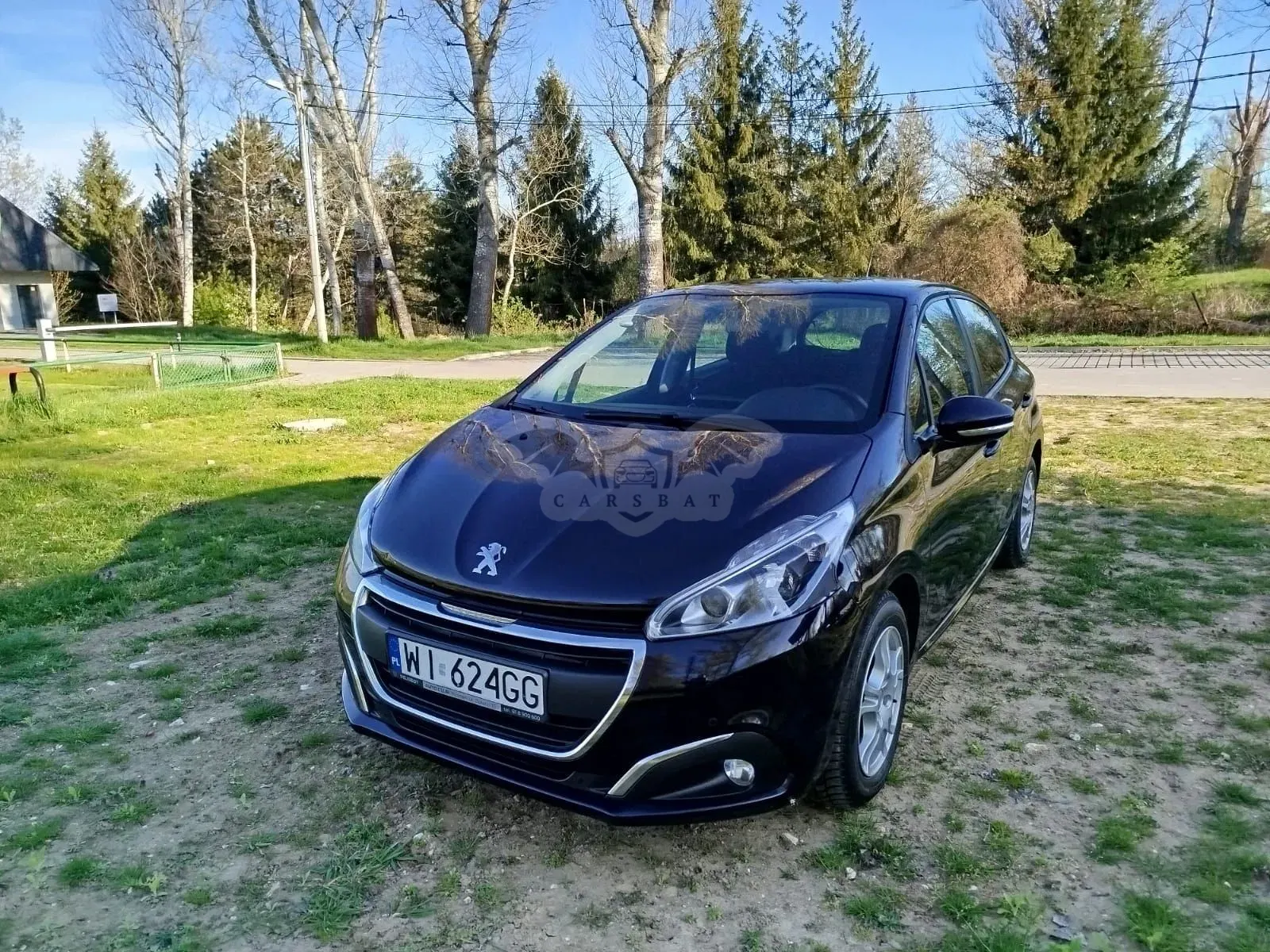 Peugeot 208 I 1.6 BlueHDi Active S&S 2017