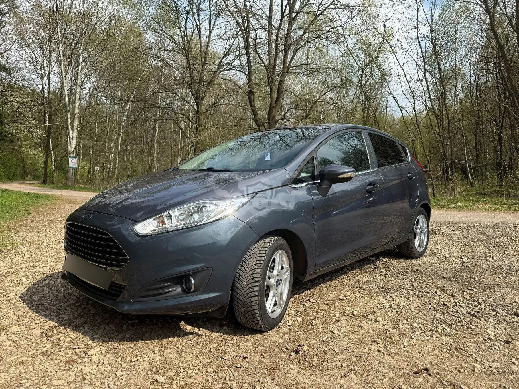 Ford Fiesta Mk7 1.0 EcoBoost Trend 2013