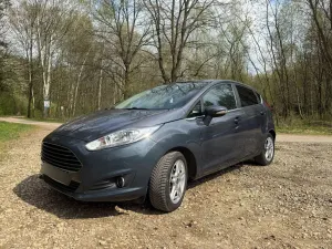 Ford Fiesta Mk7 1.0 EcoBoost Trend 2013