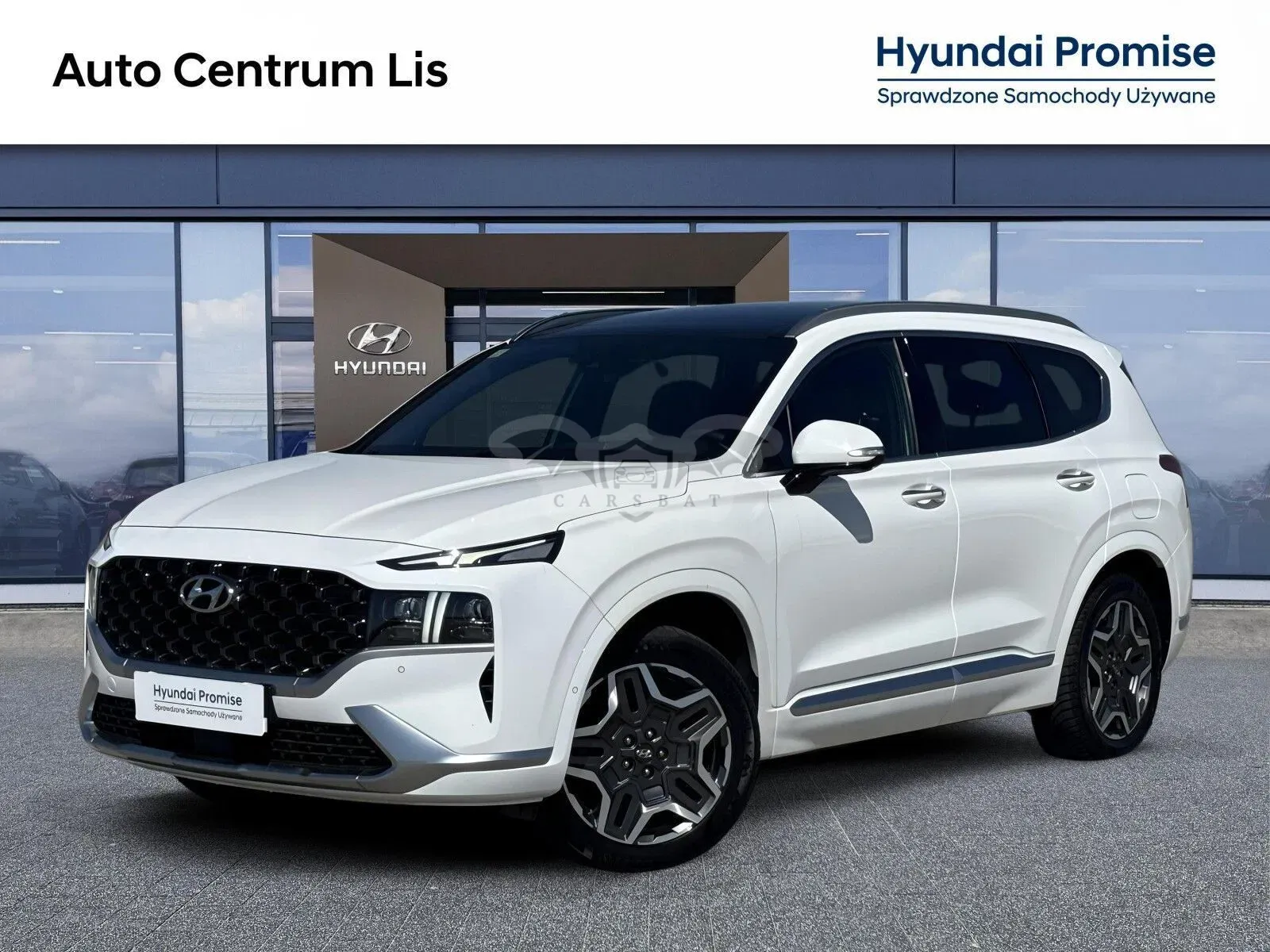 Hyundai Santa Fe IV 1.6 T-GDI HEV Platinum 4WD 2023