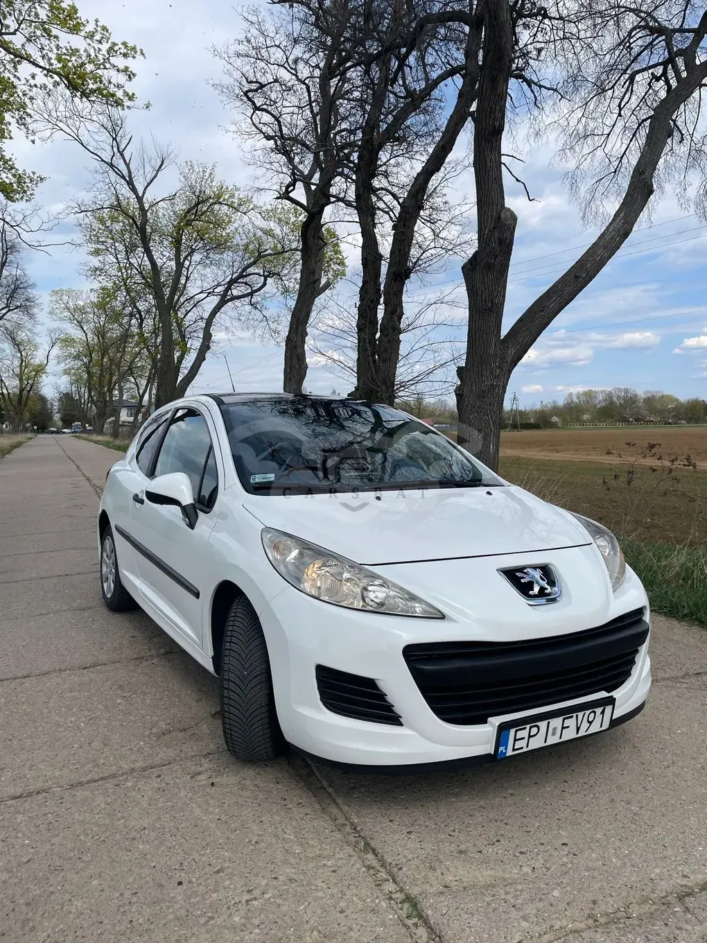 Peugeot 207 1.4 HDi Presence 2010
