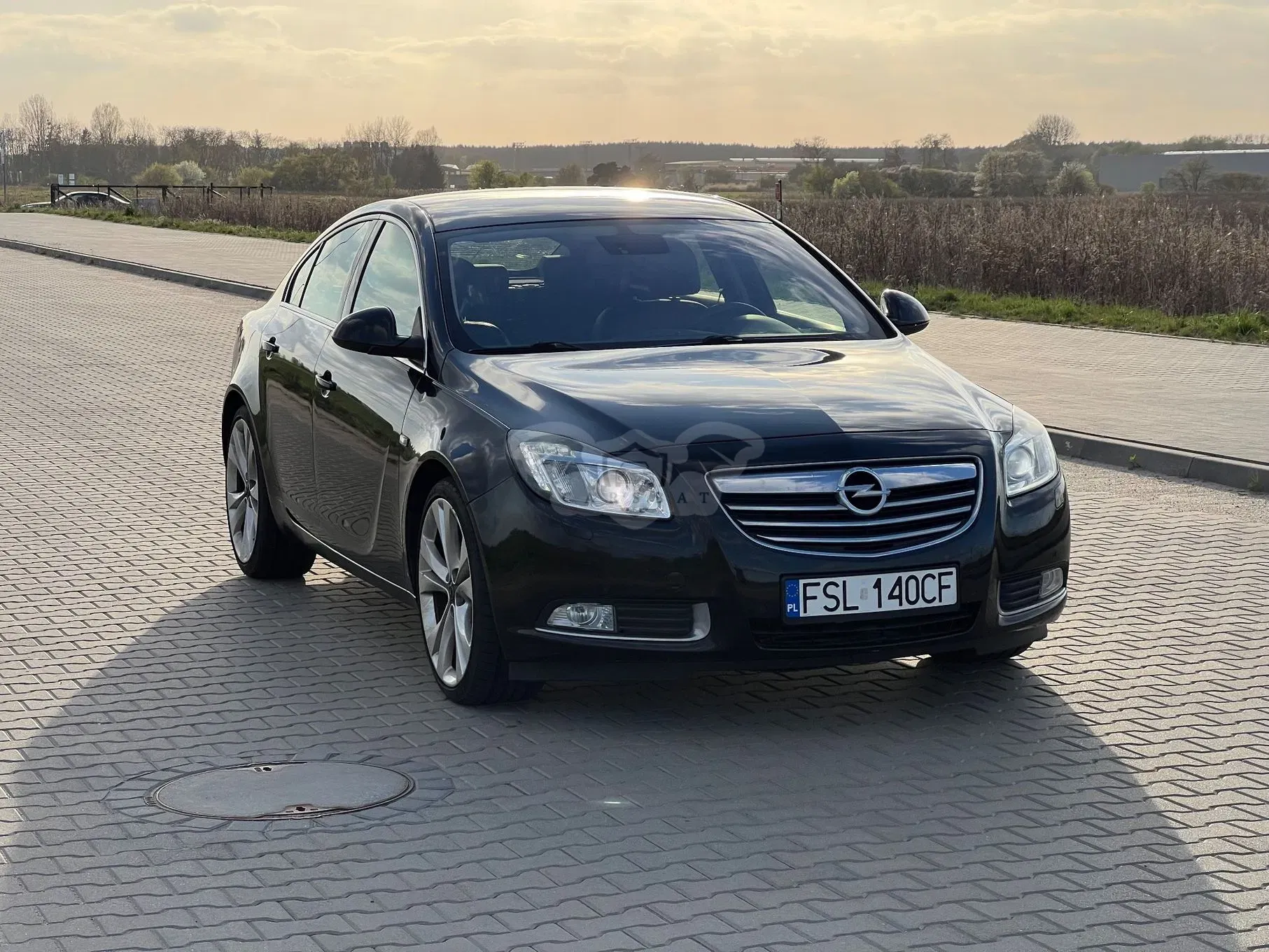 Opel Insignia A 2.0 CDTI EcoFLEX Cosmo 2009