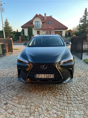 Lexus NX II 2022