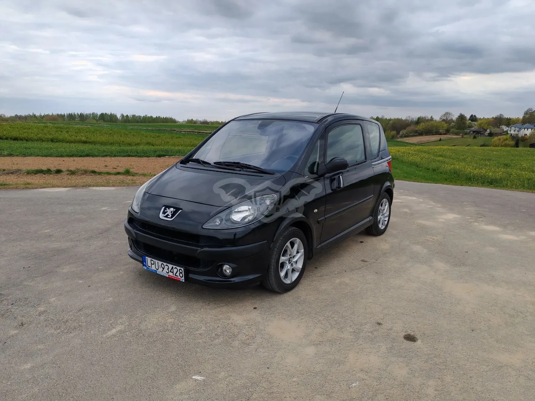 Peugeot 1007 1.6 Sporty 2-Tronic 2005