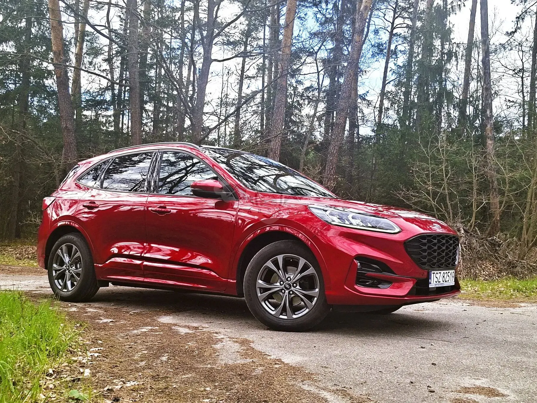 Ford Kuga III 2.0 EcoBlue AWD ST-Line 2020